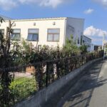 合志市のグループホーム『かとれあ会』の木を選定見積もりしたらめっちゃ高かったので事務長が選定してみた