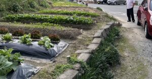 小規模多機能ホーム森の里の家庭菜園がガチすぎるのでぜひ見てほしい件