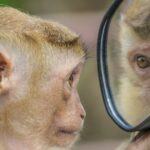 鏡よ鏡答えちゃって Who's the best？ I'm the best！ Oh yeah 的な話